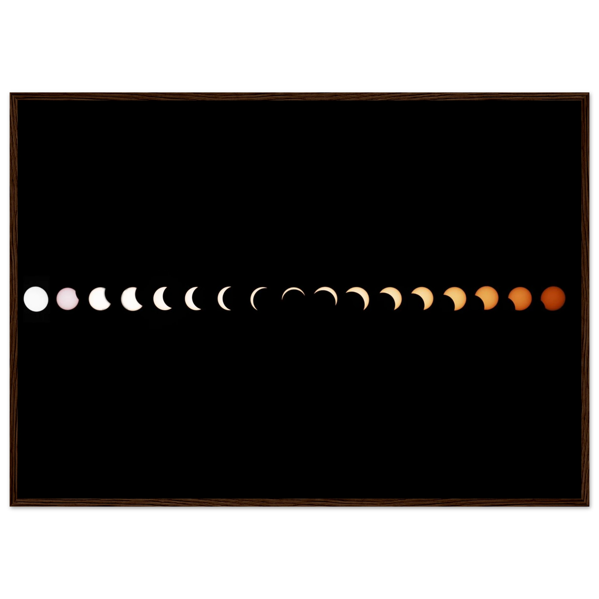3172d447-ecff-4c80-bd73-8c6294129152