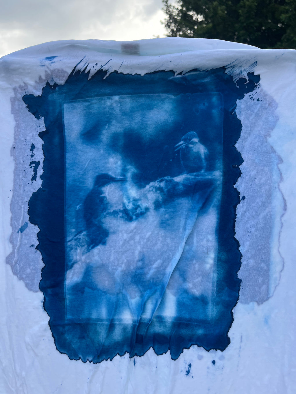 Cyanotype Shirt